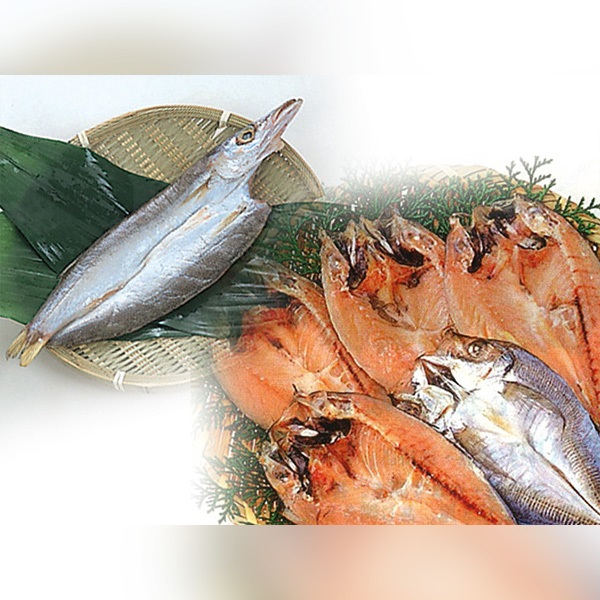 長崎対馬真あじ・かます一汐干しセット（KSA-5）