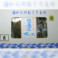 平戸塩あご一夜干し（大）　500g　箱入