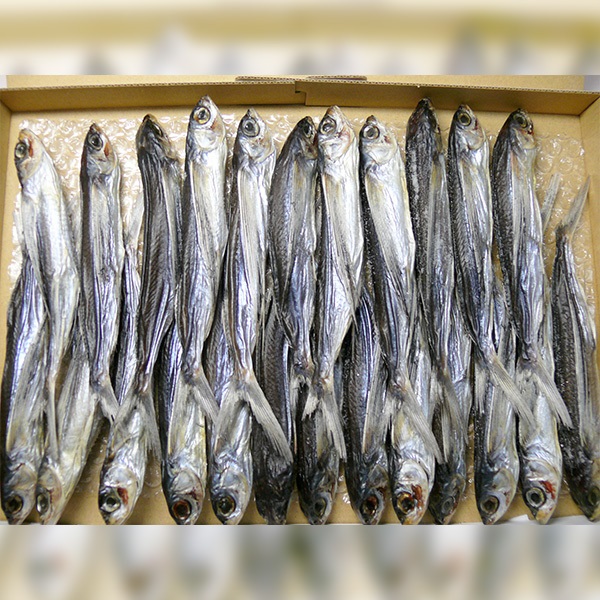 平戸塩あご一夜干し（小）　1kg　箱入