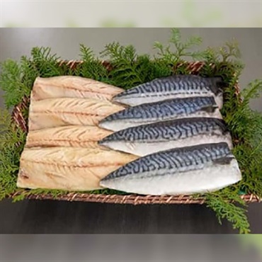 さばセット（ノルウェー産）塩8枚入