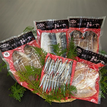 長崎産お手頃セット「N」（5種類/9枚）