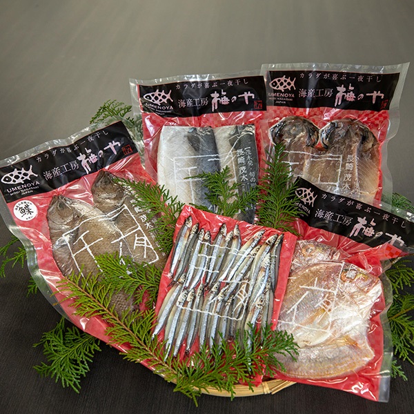 長崎産お手頃セット「N」（5種類/9枚）