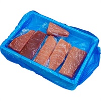 「生」本まぐろ【鮪錦】柵 大トロ中トロ赤身セット 1000g