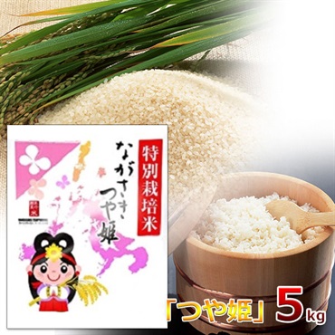 令和7年度産　精白米/長崎県産「つや姫」　5kg袋入