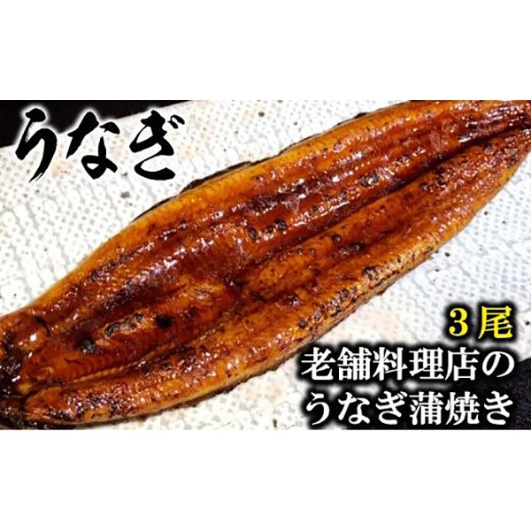 老舗料理店のうなぎ蒲焼き（170g×3尾）
