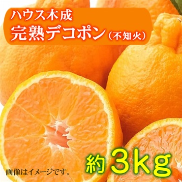 ★予約・限定50セット【ハウス木成完熟】デコポン（不知火）約3kg　糖度13～15度！完全手選別＜原口果樹園＞