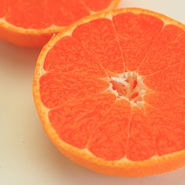 ★予約・100箱限定★【12月中旬以降出荷/原口果樹園】《幻》の原口早生みかん　3kg　段ボール箱入