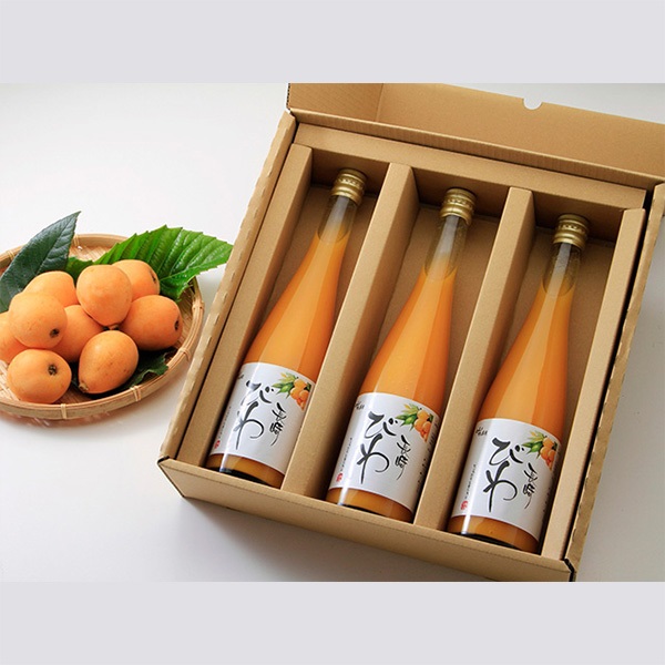 ビワ果汁入り飲料　500ml×3本入