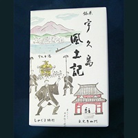 宇久島風土記（オレンジケーキ）　12個入