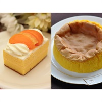 【長崎地元民 御用達】シースクリーム6個・半熟かすてら　詰合せ