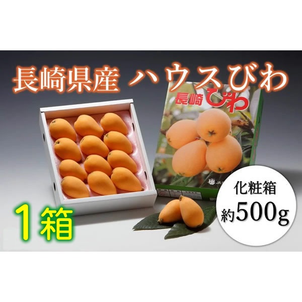 【予約：100セット限定】長崎県産ハウスびわ 1箱　※4月上旬より出荷　