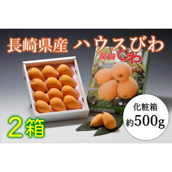 【送料無料】【予約：100セット限定】 長崎県産ハウスびわ 2箱　※4月上旬より出荷