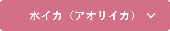 水イカ（アオリイカ）