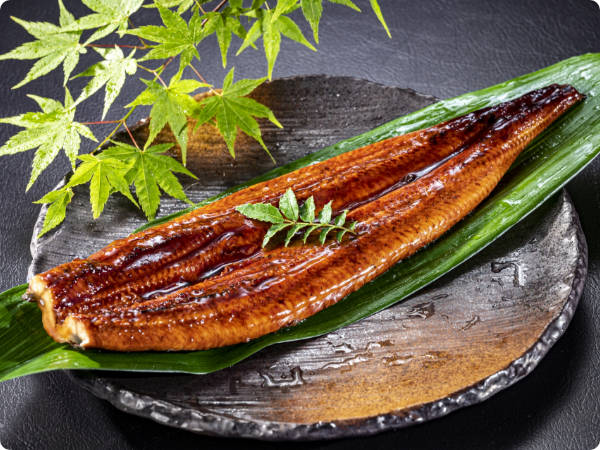 煮穴子・鰻